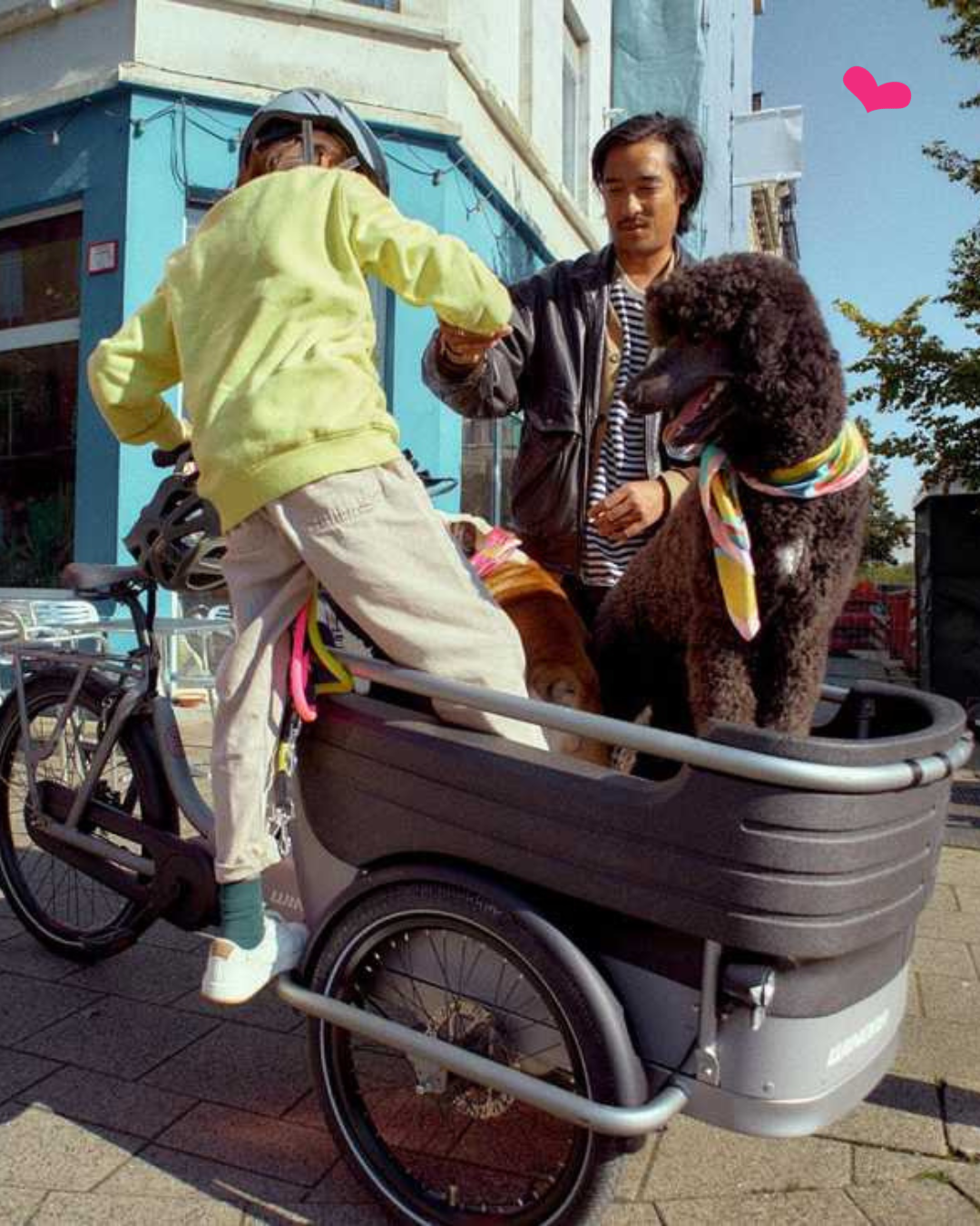 Balade en vélo cargo avec un chien